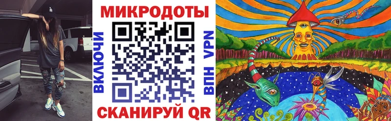 Псилоцибиновые грибы Cubensis  купить   blacksprut   Губкин 